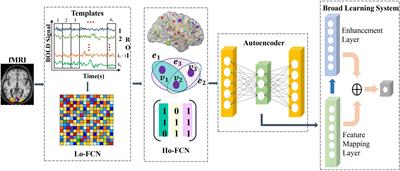 Exploring high-order correlations with deep-broad learning for autism spectrum disorder diagnosis